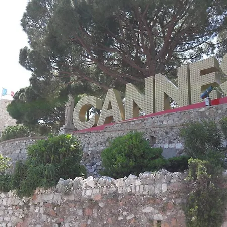 Near The Cannes